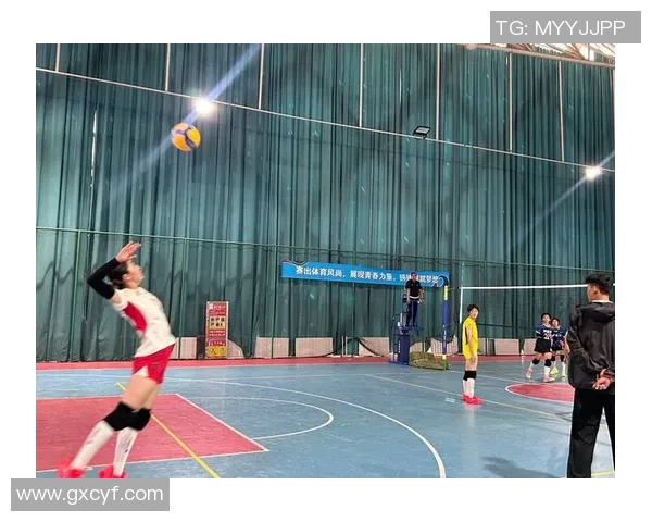 南京排球队荣登全国排球团队协作排行榜第五名展现出色团队精神与实力