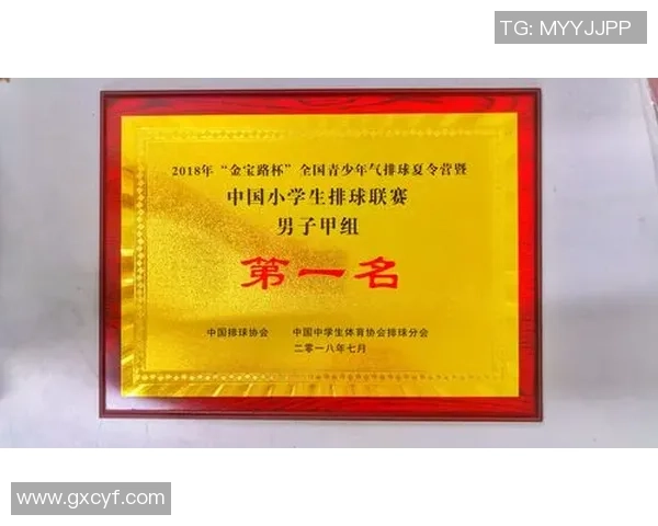 广州排球队在冠军赛中的个人能力分析与表现评估 广州排球队在冠军赛中的个人能力分析与表现评估