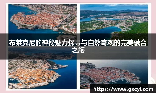 布莱克尼的神秘魅力探寻与自然奇观的完美融合之旅