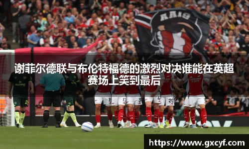 谢菲尔德联与布伦特福德的激烈对决谁能在英超赛场上笑到最后